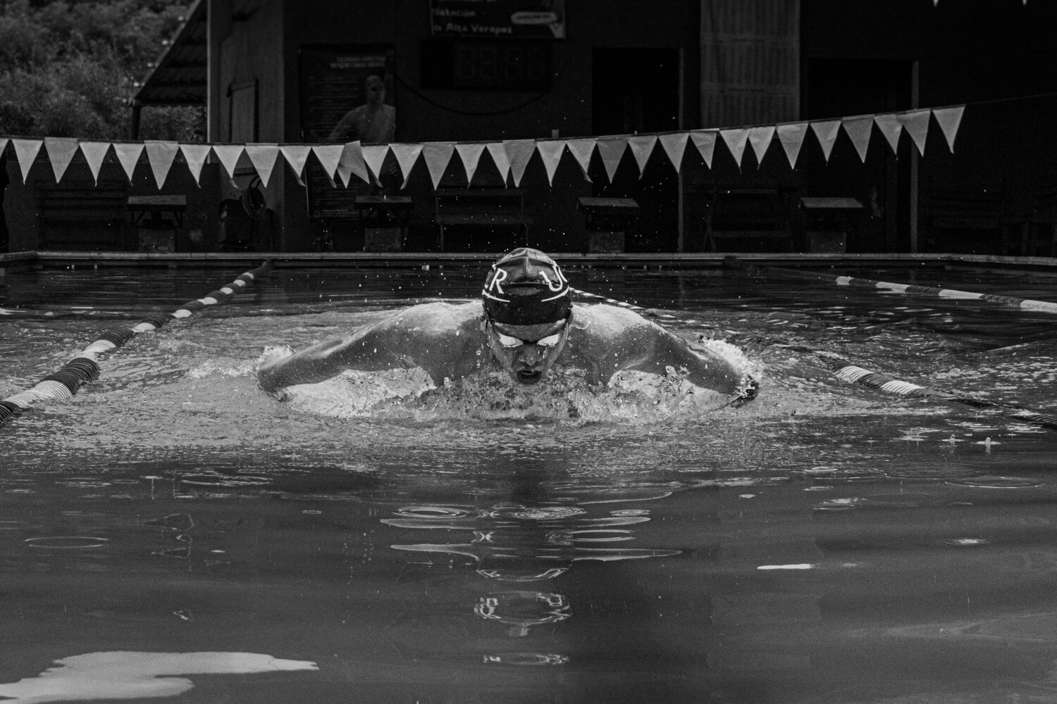 Photo #12909531