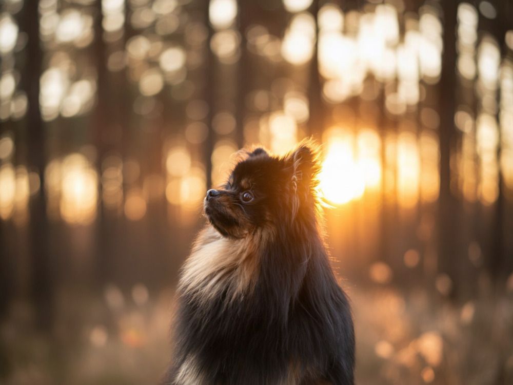 Photograph by Саня Афонина