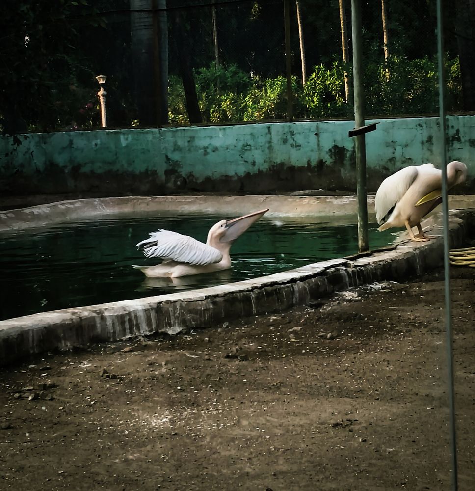 Photograph by ROHAN SAI JUTTUGA