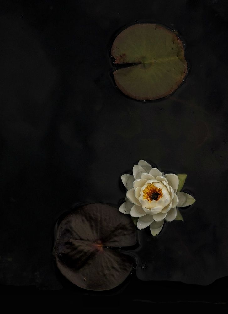 Photograph by Анна Кош