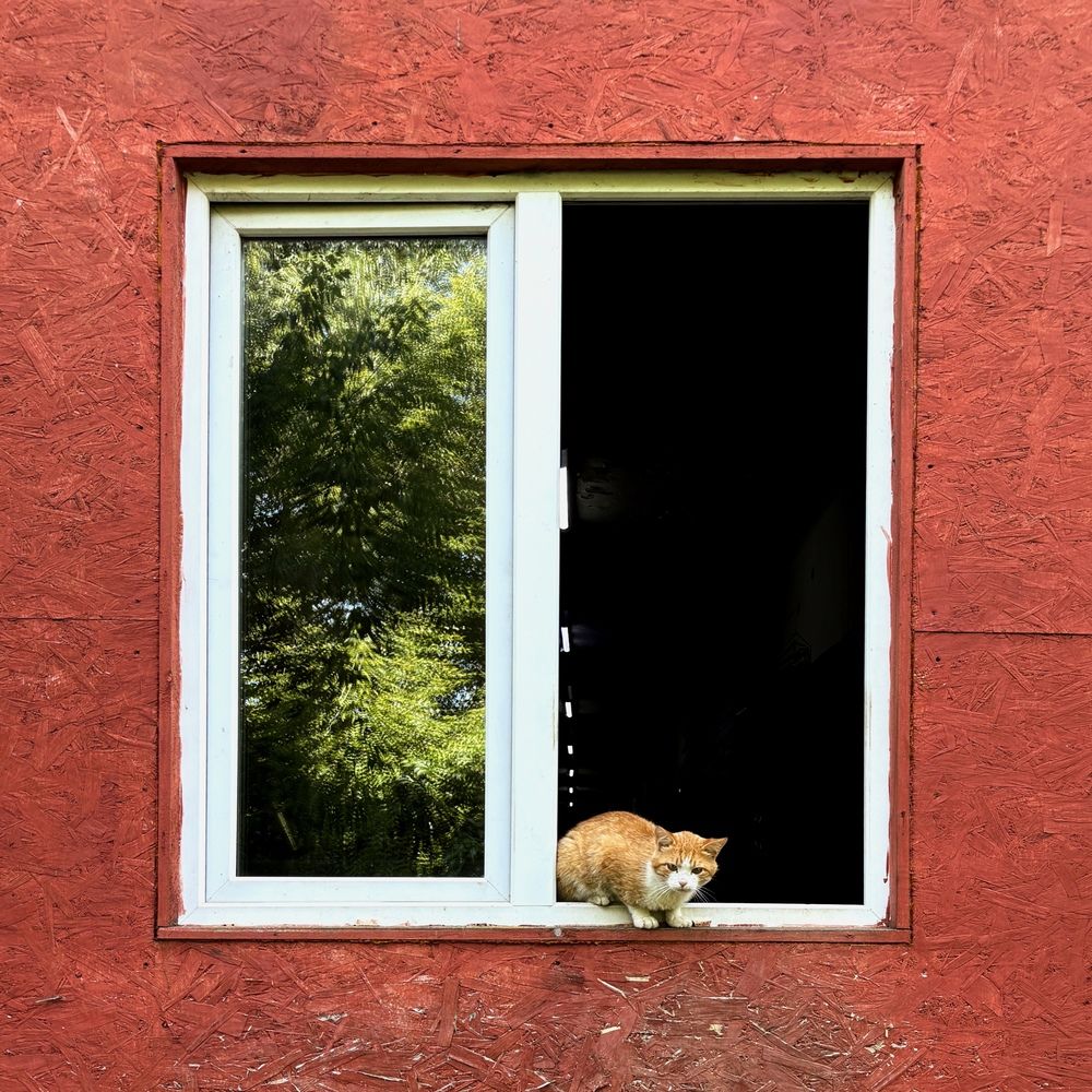 Photograph by Александр Козинец