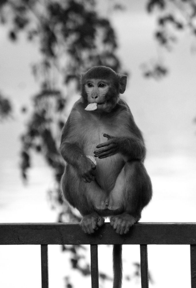 Photograph by Shami Raj