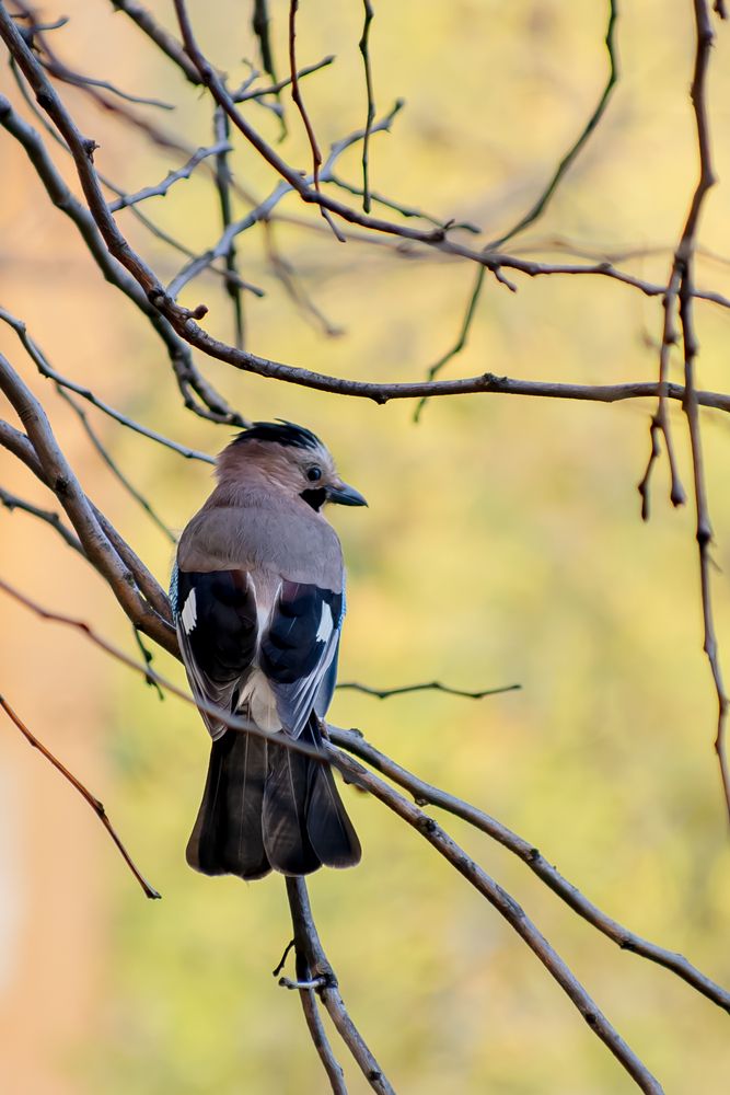 Photograph by Галина Григорьева