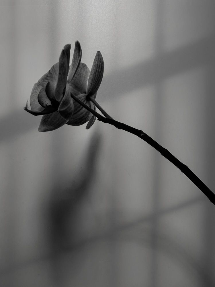 Photograph by Юлия Куклина