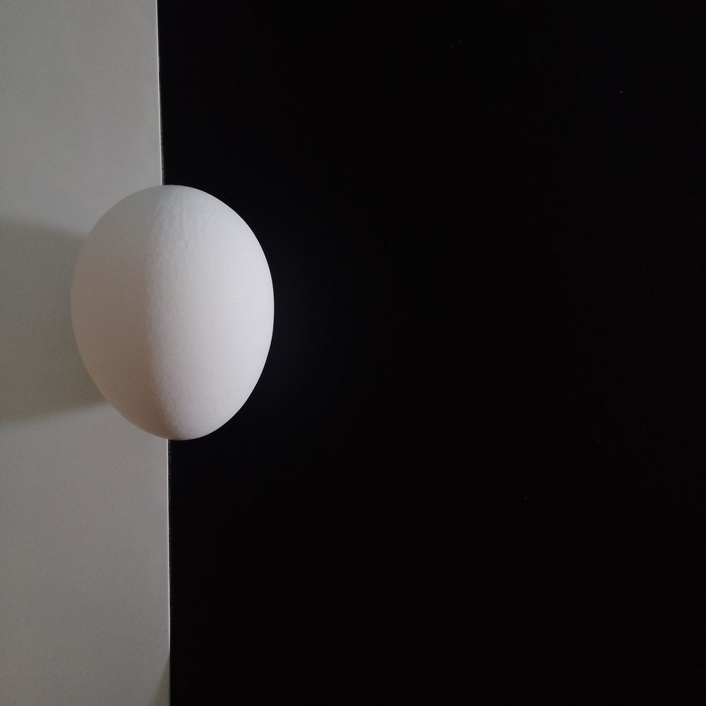 Фотография автора Елена Дубовикова