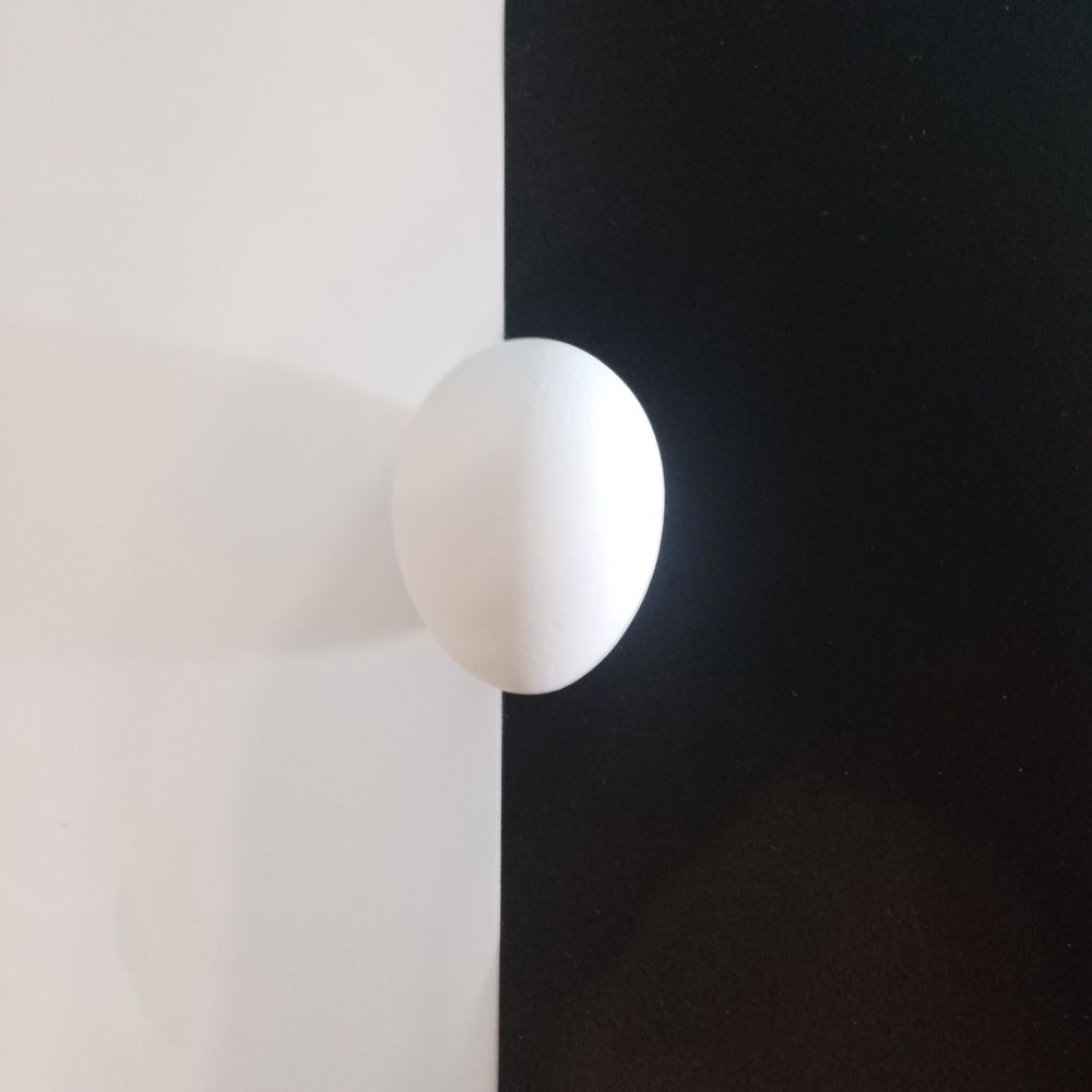 Фотография автора Елена Дубовикова