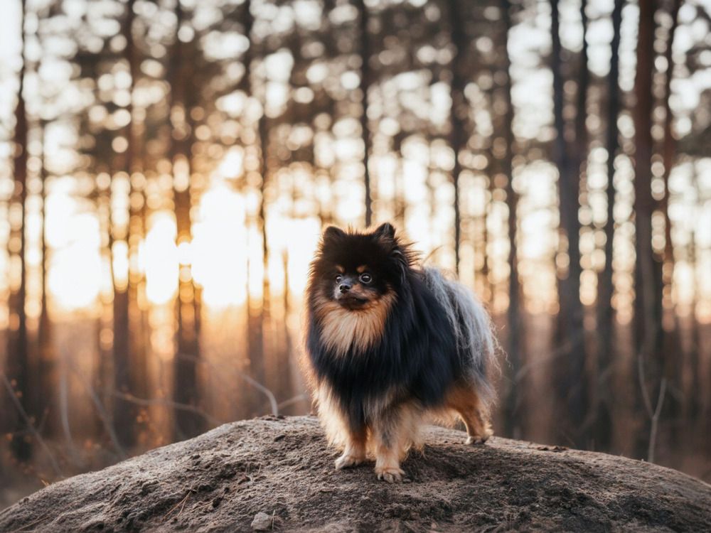 Photograph by Саня Афонина