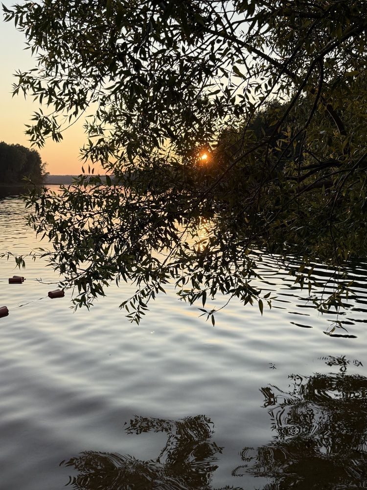 Photograph by Марта