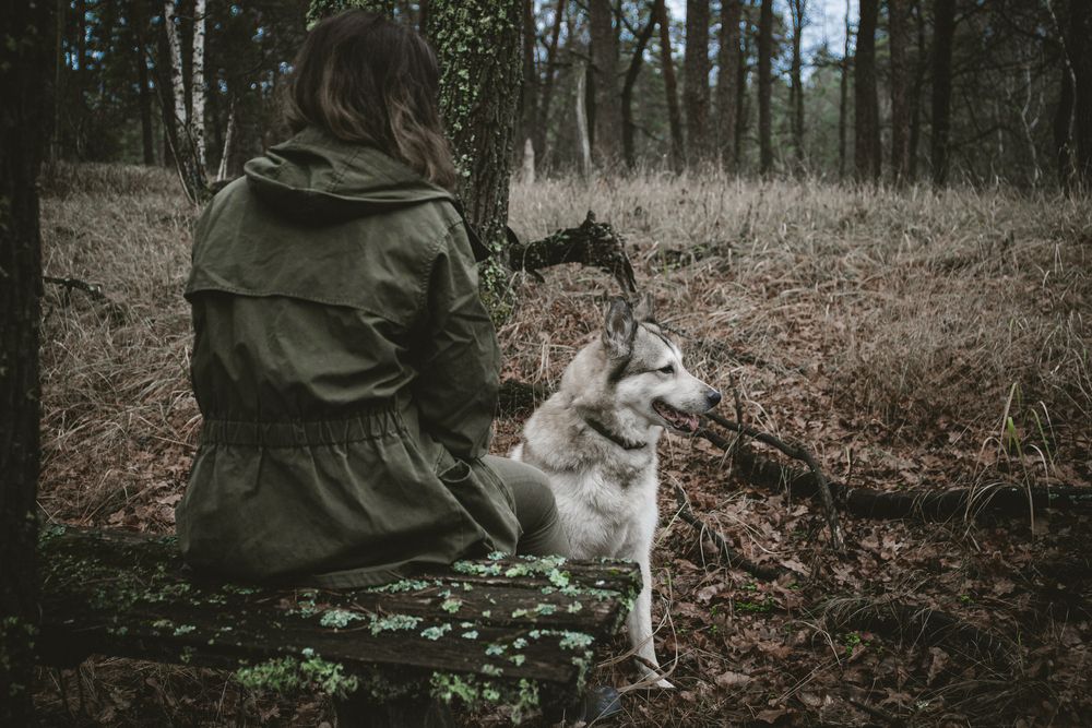 Photograph by Аркадий Рогачёв