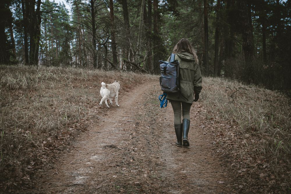 Photograph by Аркадий Рогачёв