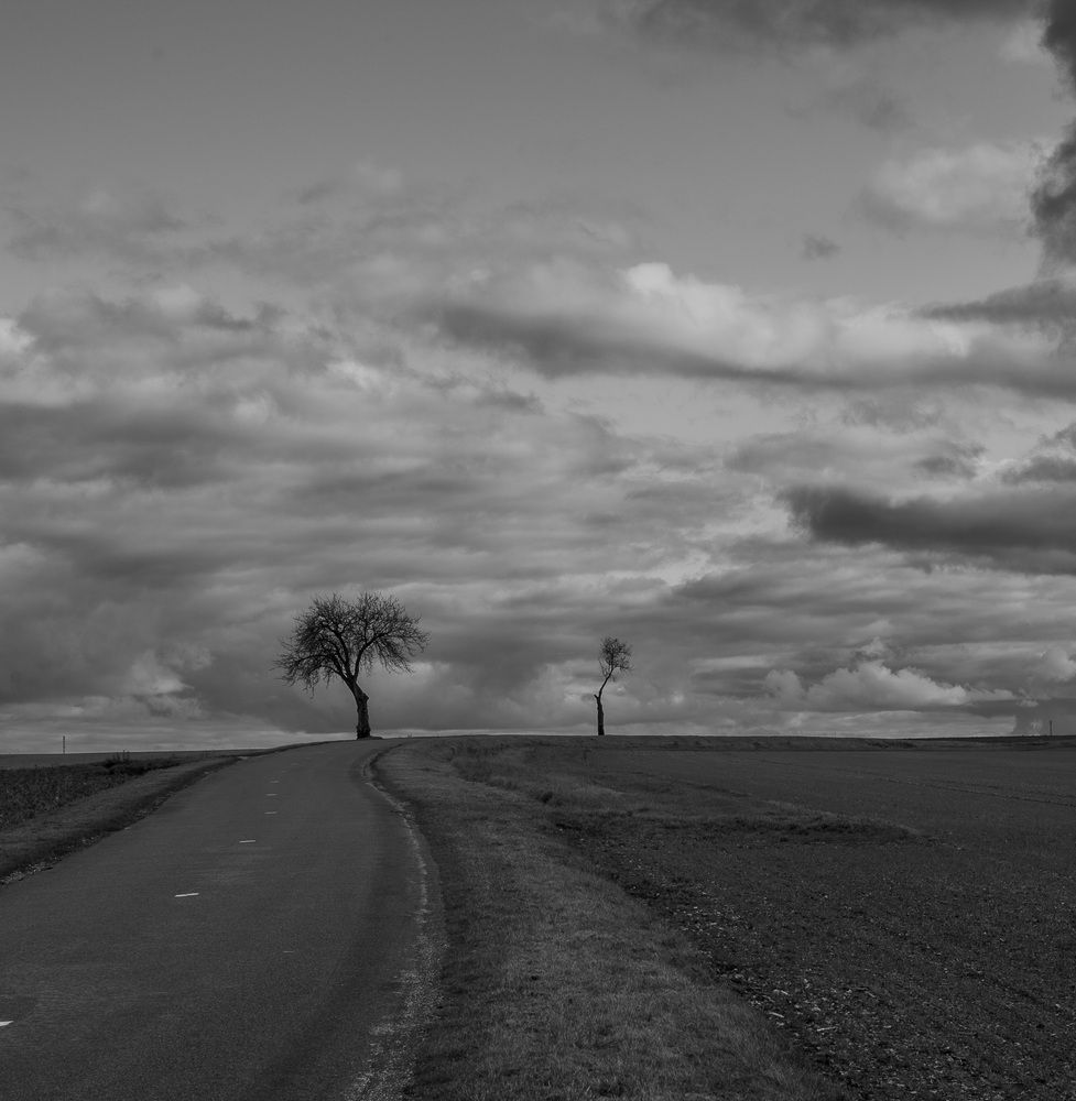 Photograph by WILHELM Alexandre
