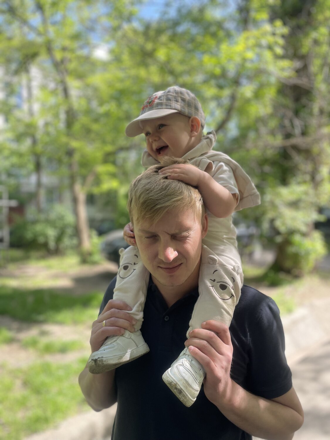 стадия принятия