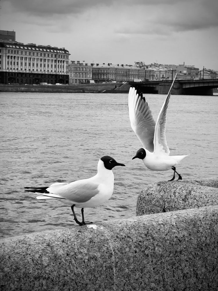 Photograph by Ксения Юртаева