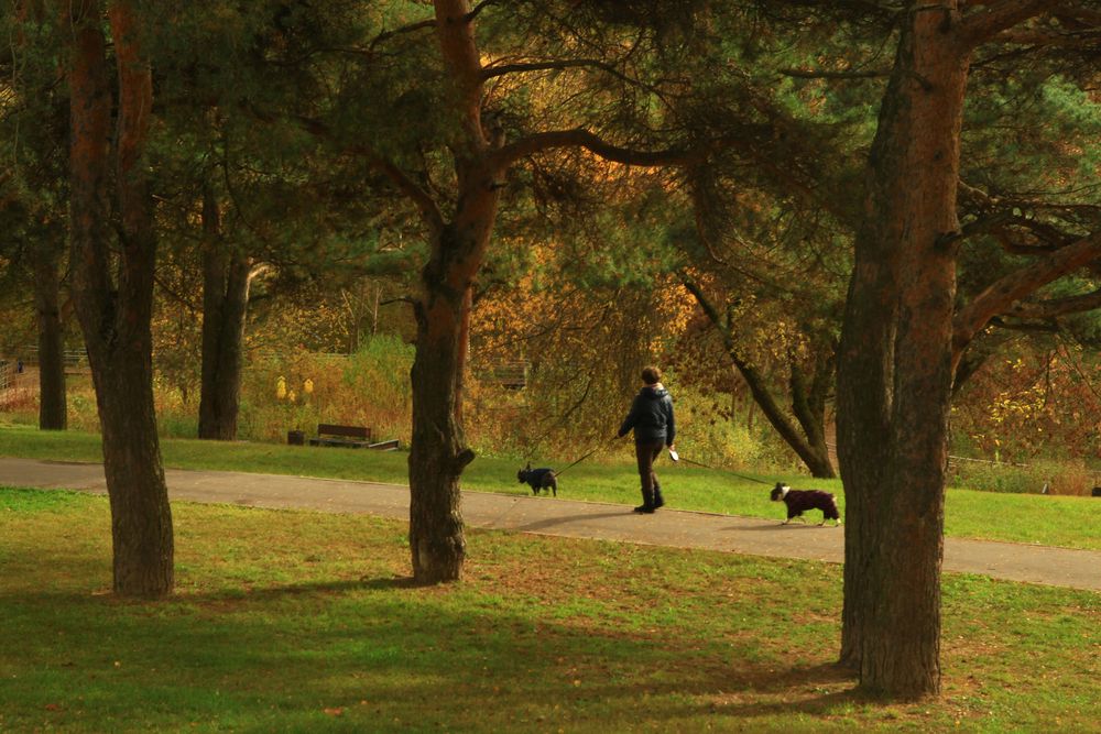 Photograph by Юлий Ахромеев