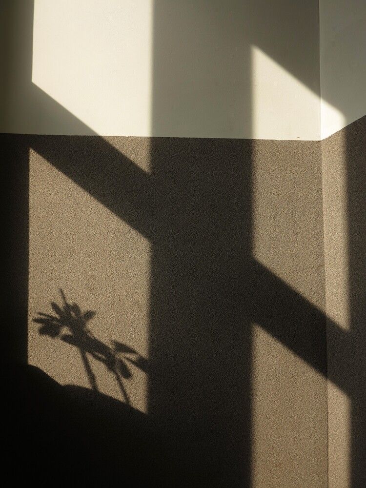 Okno / Окно / Window