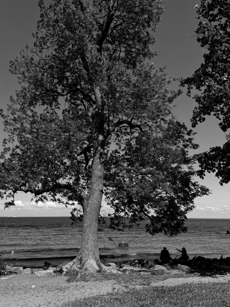 Photograph by Жанна Колесникова