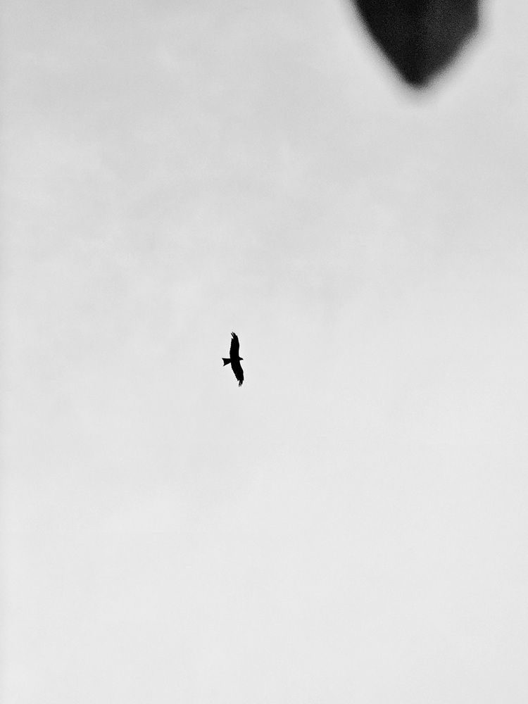 Photograph by S.M. Shariful Islam