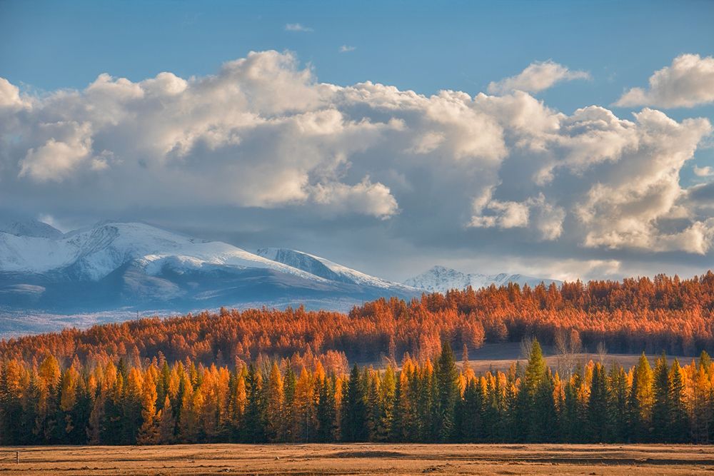 Фотография автора Юдинских Марина