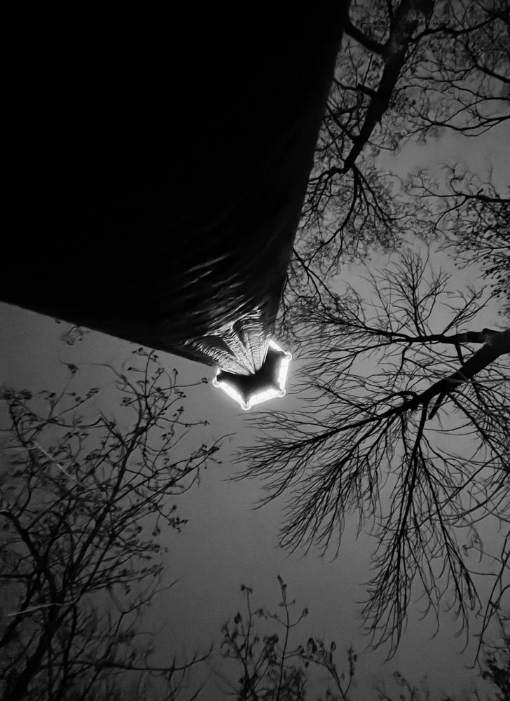 Photograph by Ольга Ручьева
