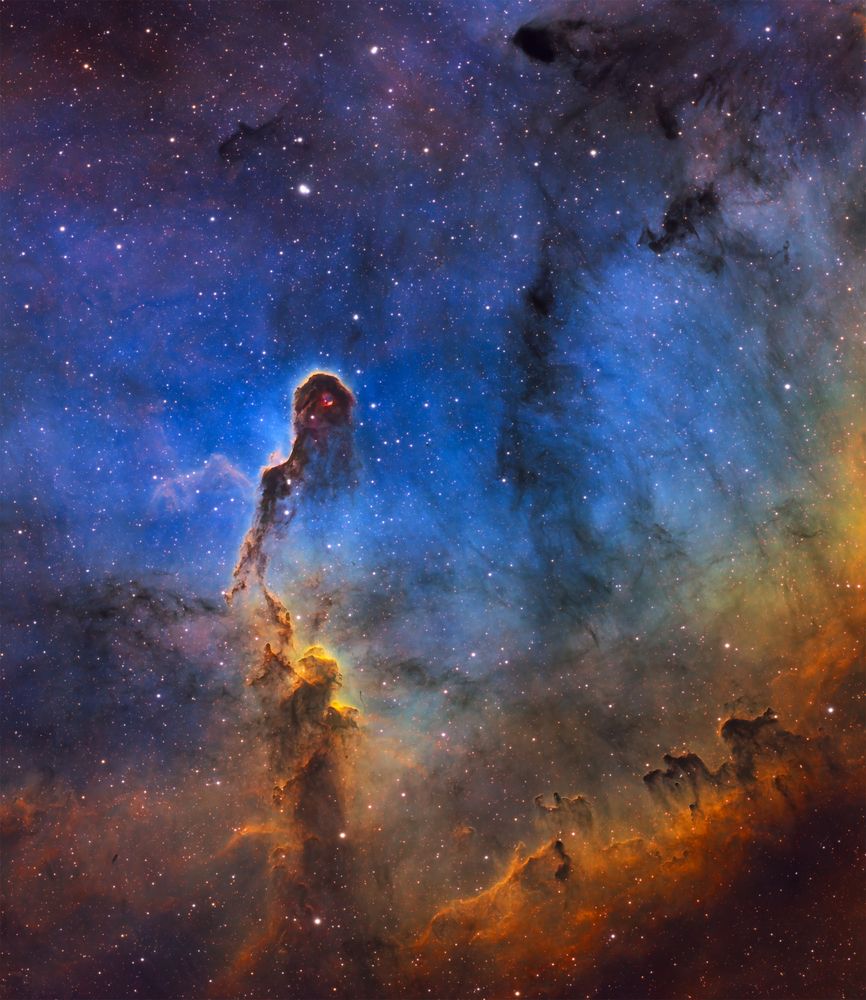 Туманность IC1396 (Хобот слона)