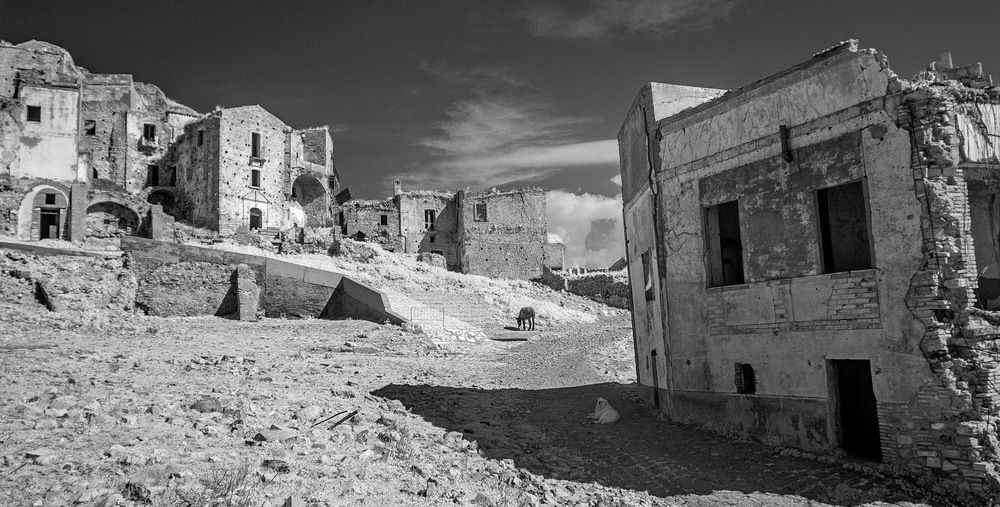 Photograph by Валерий Смирнов