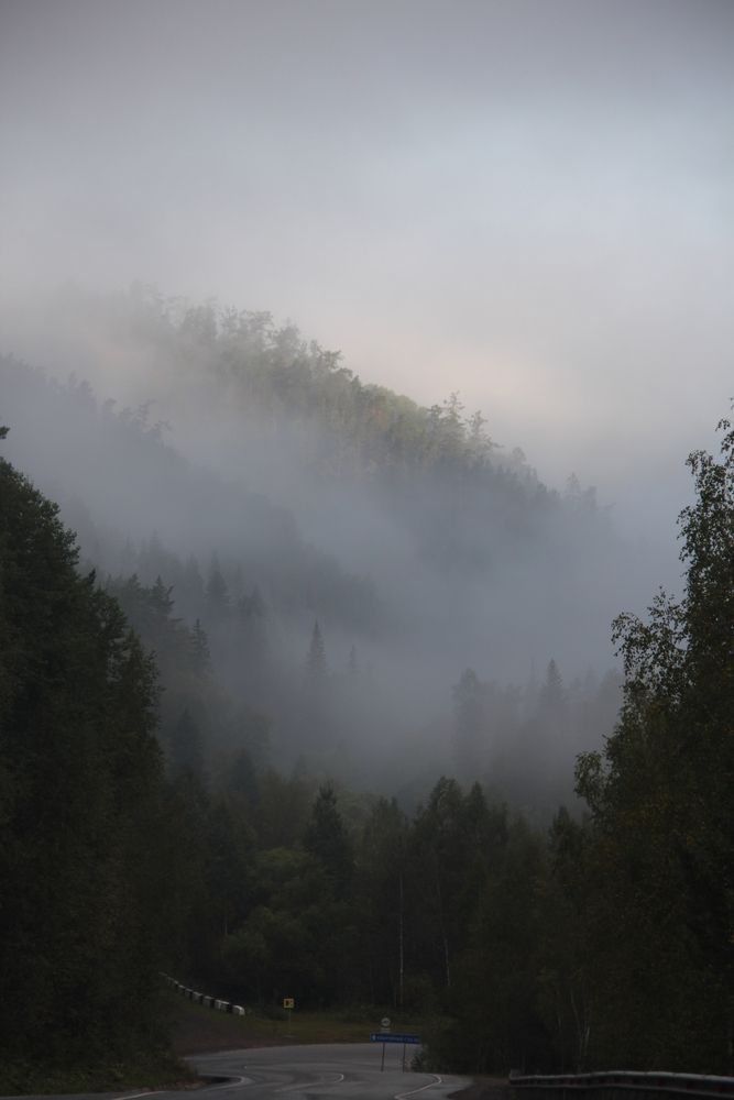 Фотография автора Анна Барбалат