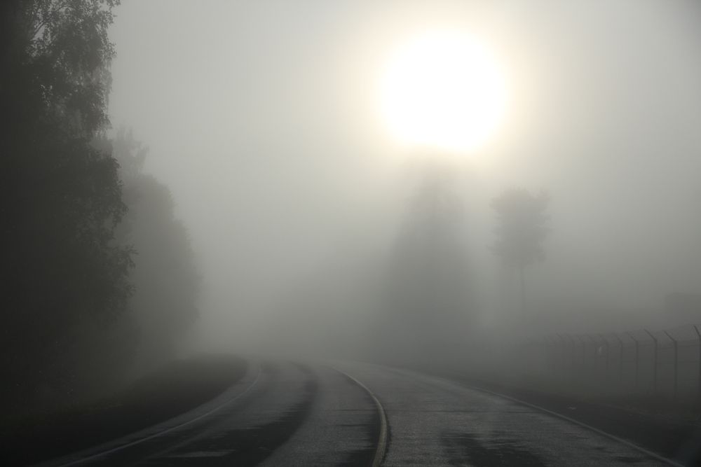 Фотография автора Анна Барбалат