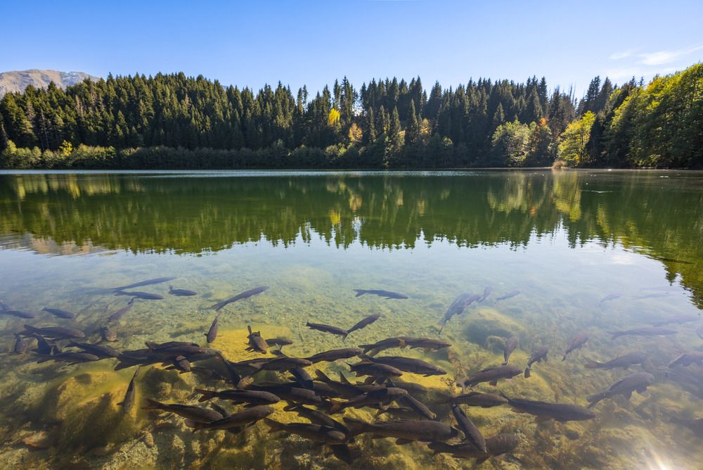 Photograph by Bekir Büyükgöz