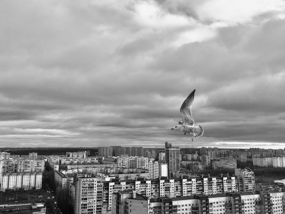 Photograph by Анастасия Ануфриева