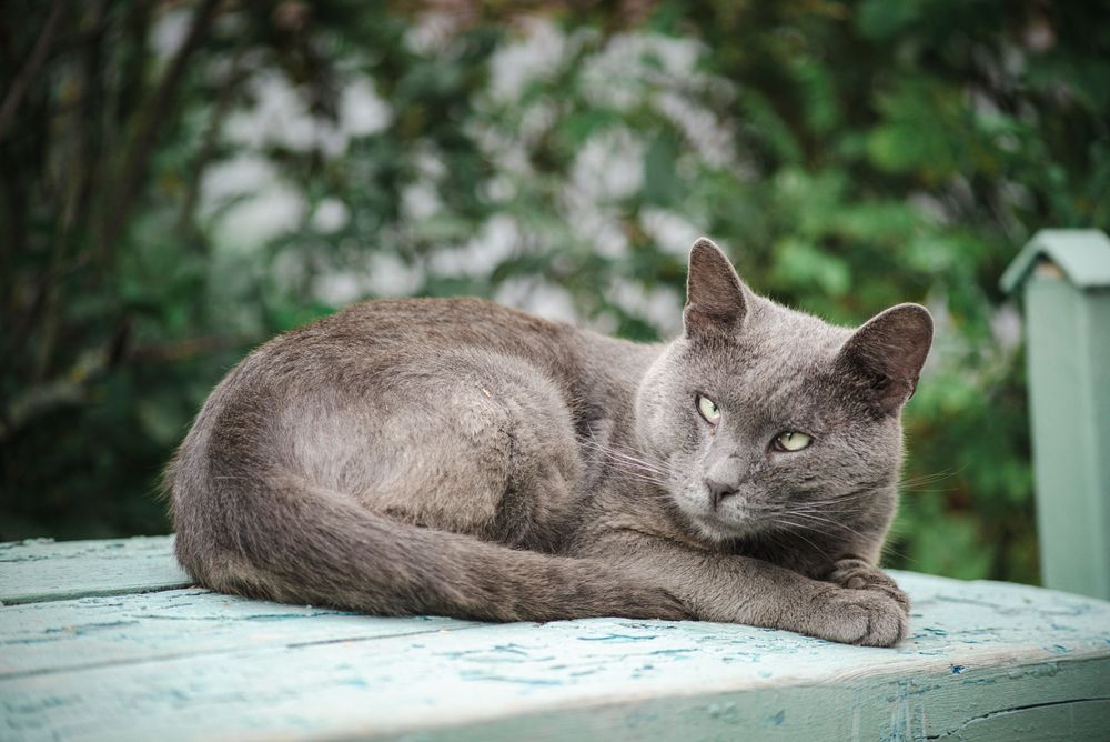 Photograph by Татьяна Жиркина