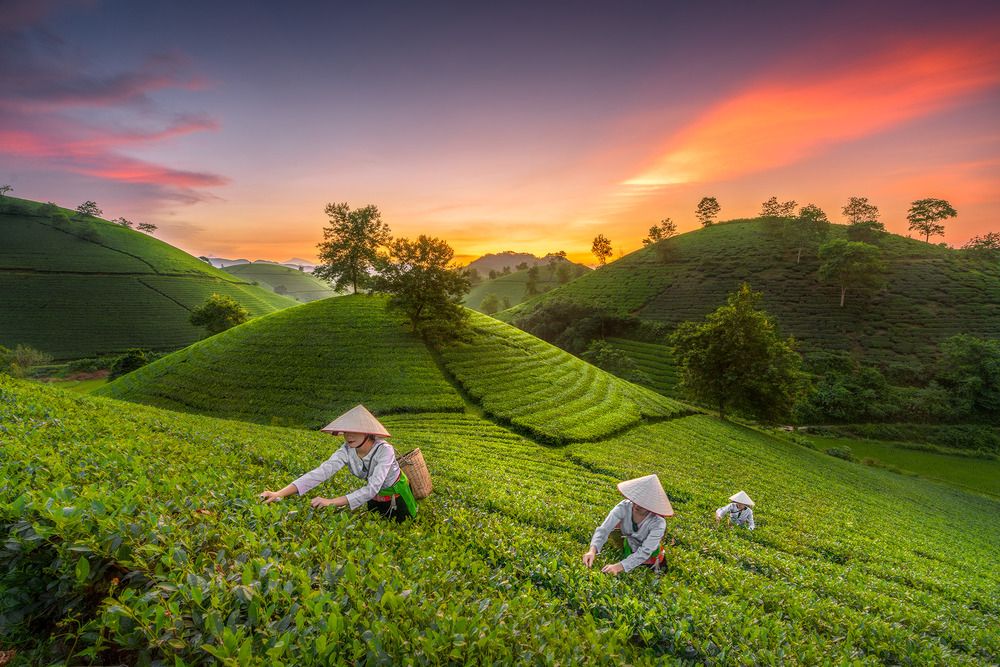 Photograph by Đạo Hoàng