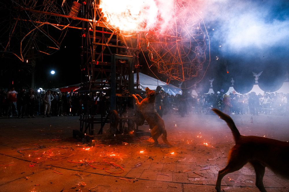 Photograph by Antonio Flores García