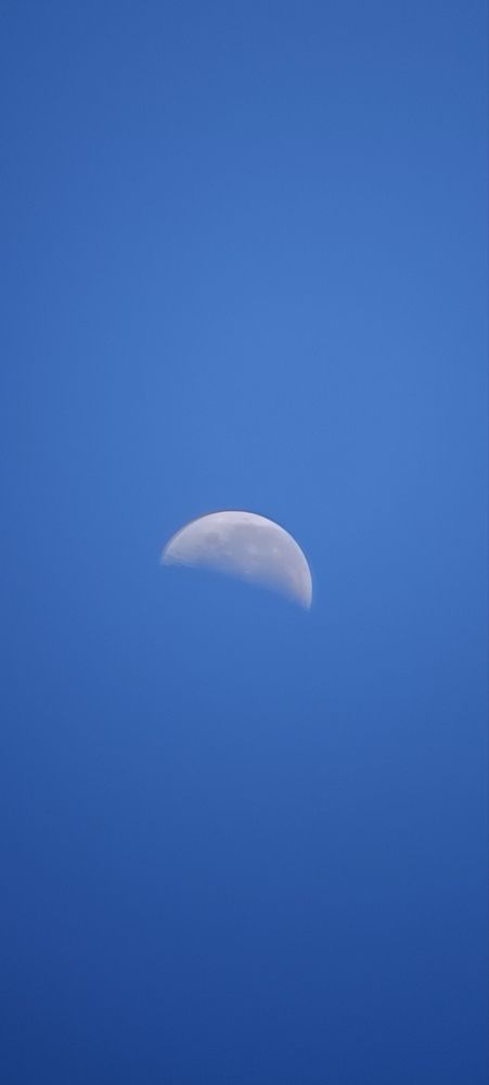 Alguien nos mira!!!!!