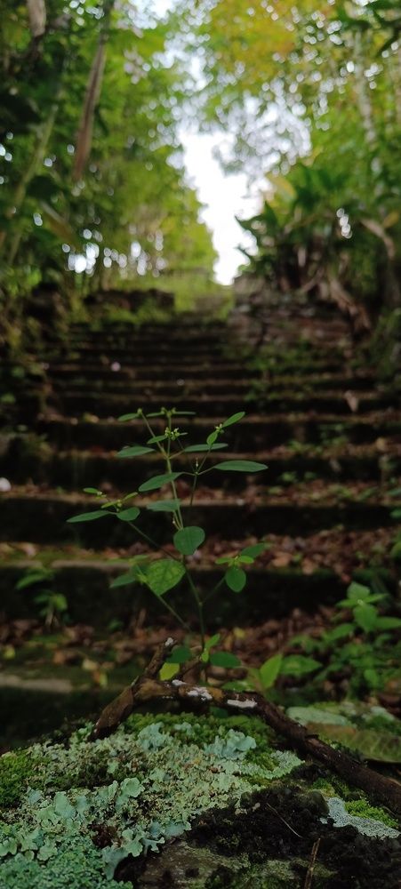 Фотография автора Manuel Gutierrez