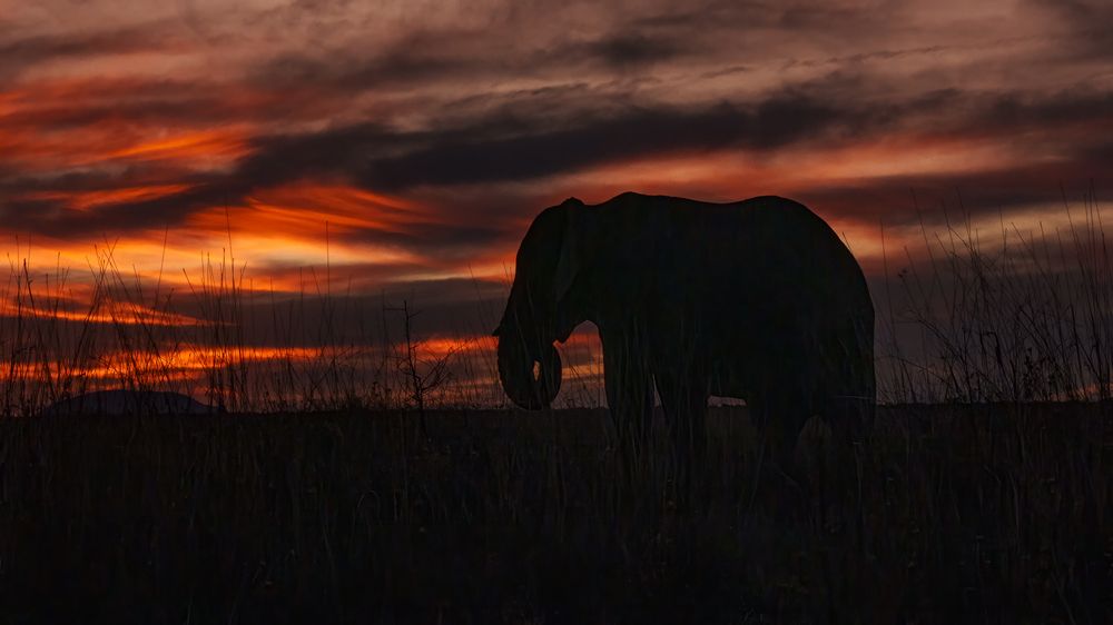Photograph by Angie Birmingham