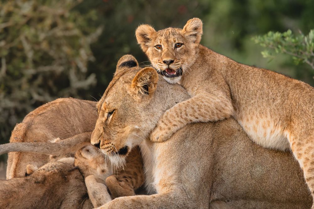 Family Time
