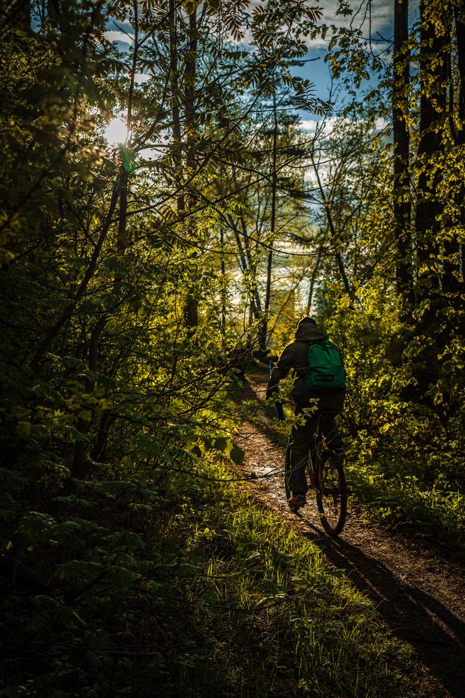 Фотография автора Наталия Космынина