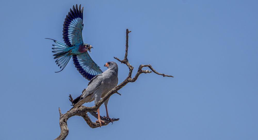 Photograph by Angie Birmingham