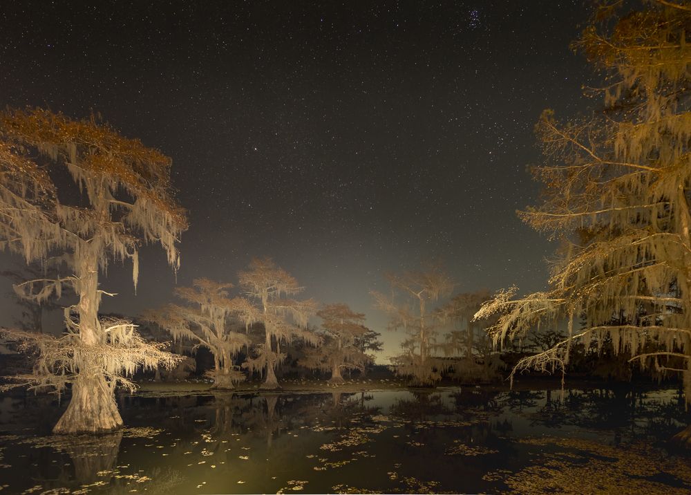 Photograph by Angie Birmingham