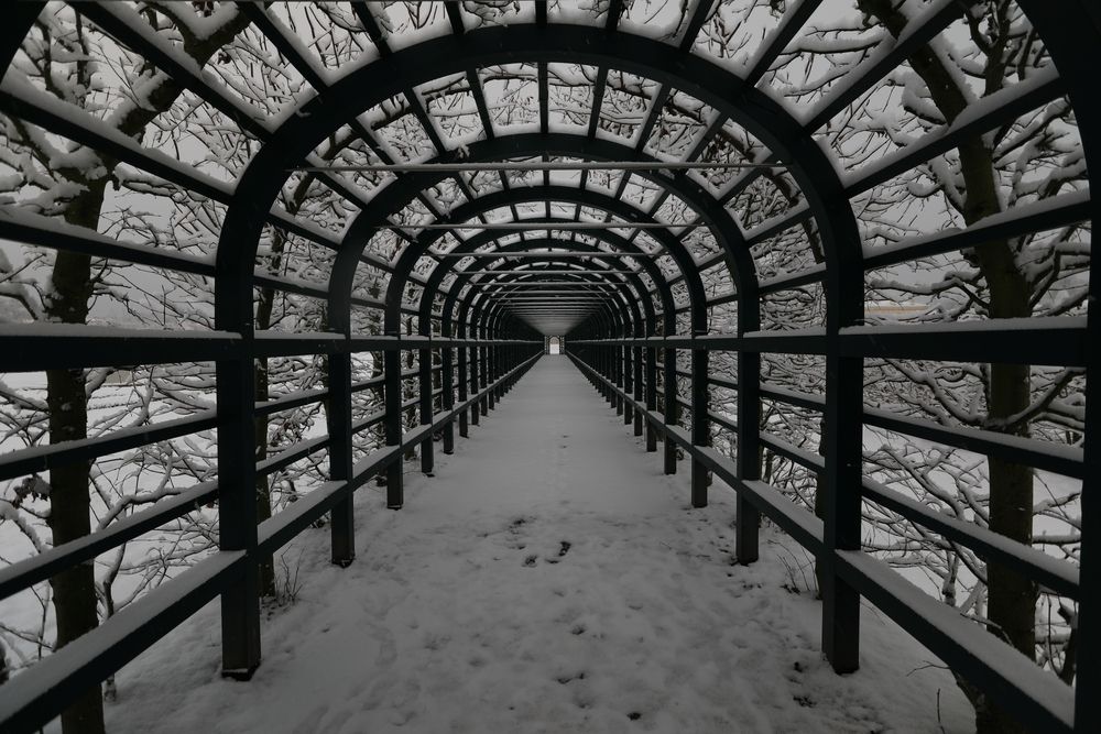 Портал