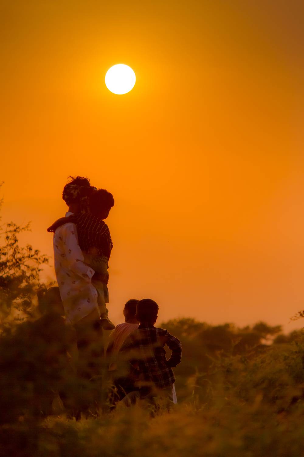 Photo #12911855