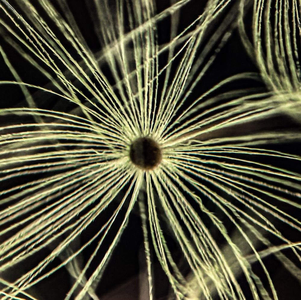 Фотография автора Сергей Виноградов