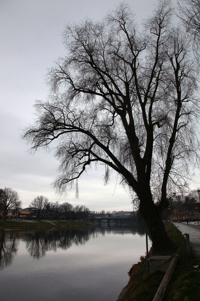 Photograph by Владимир Блехеров