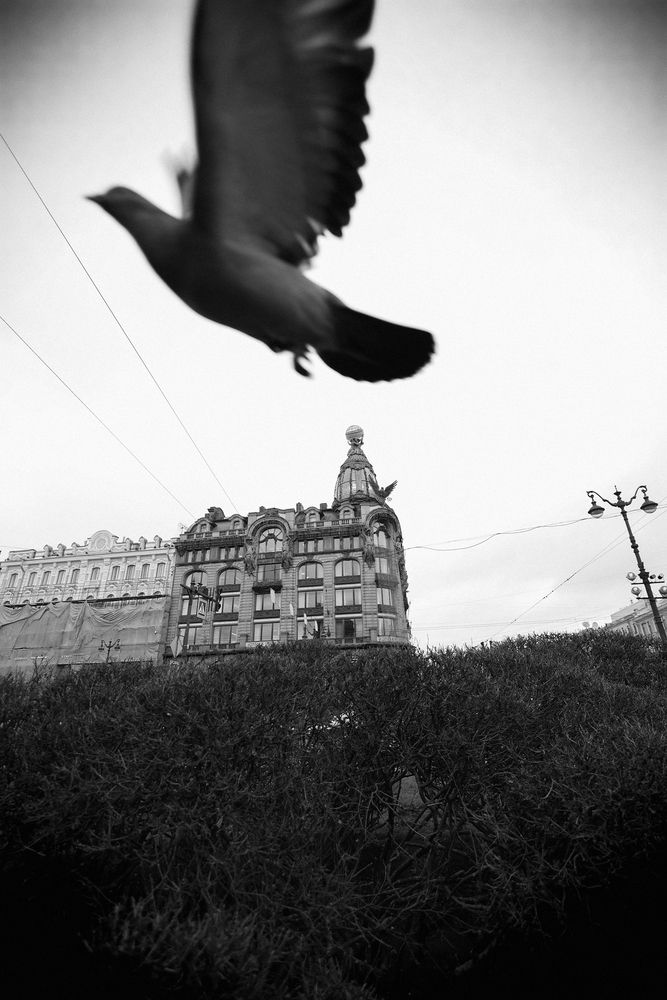 Photograph by Сосновских Вячеслав