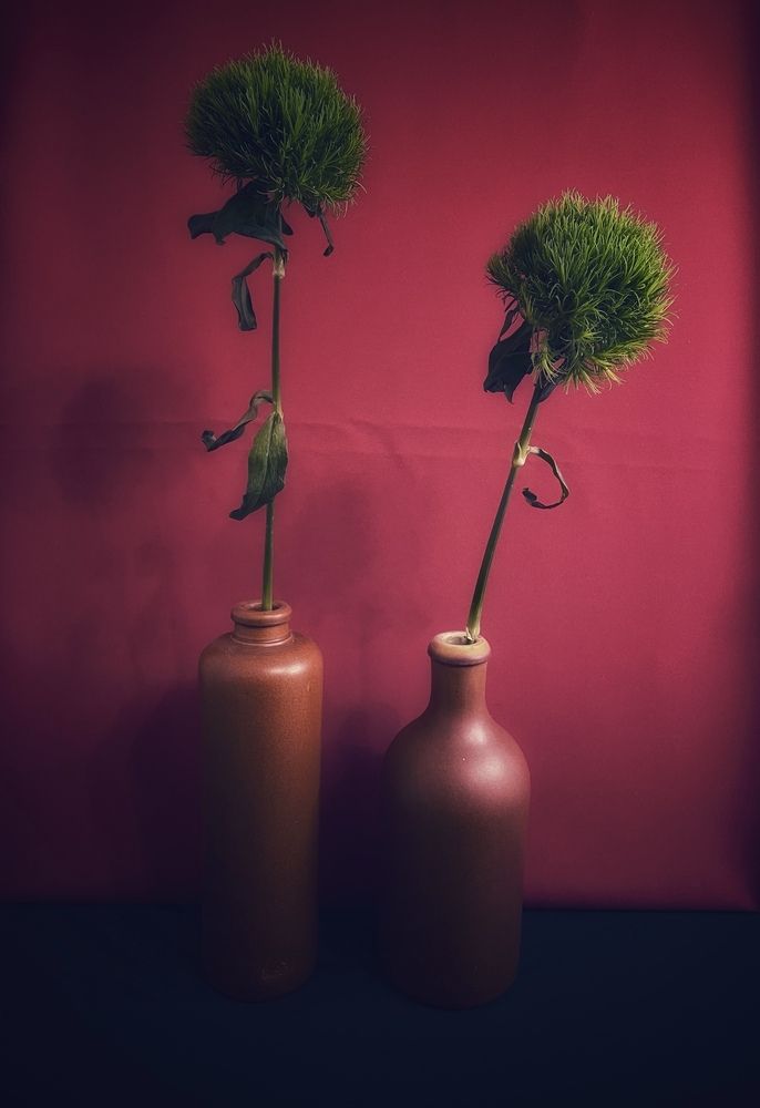 Photograph by Рамзия Хисамутдинова