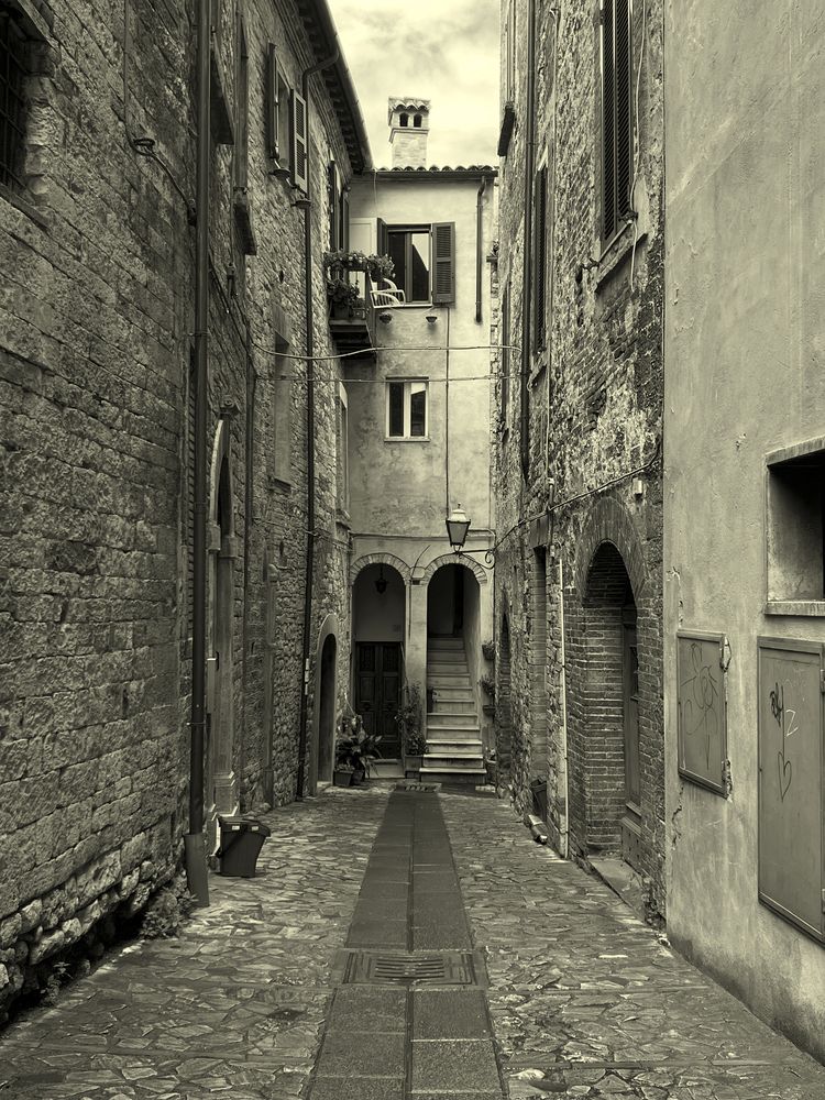 Photograph by Владимир Блехеров