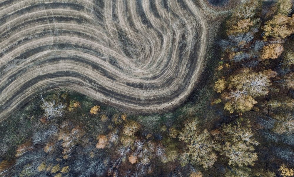 Фотография автора Голубков Леонид