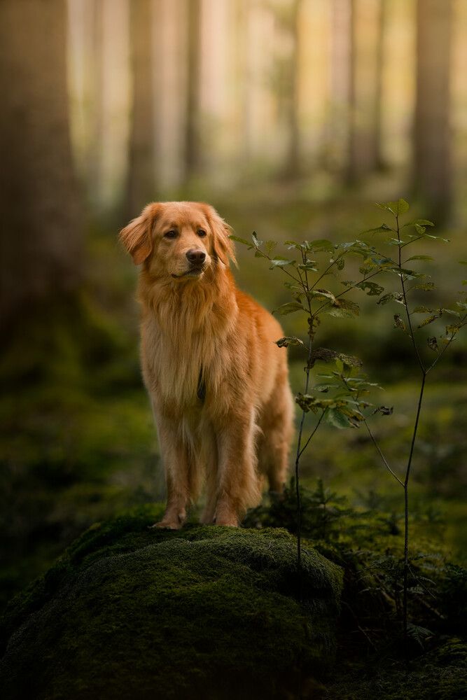 Photograph by Maja Esch