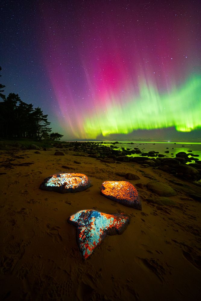 Photograph by Andres Papp