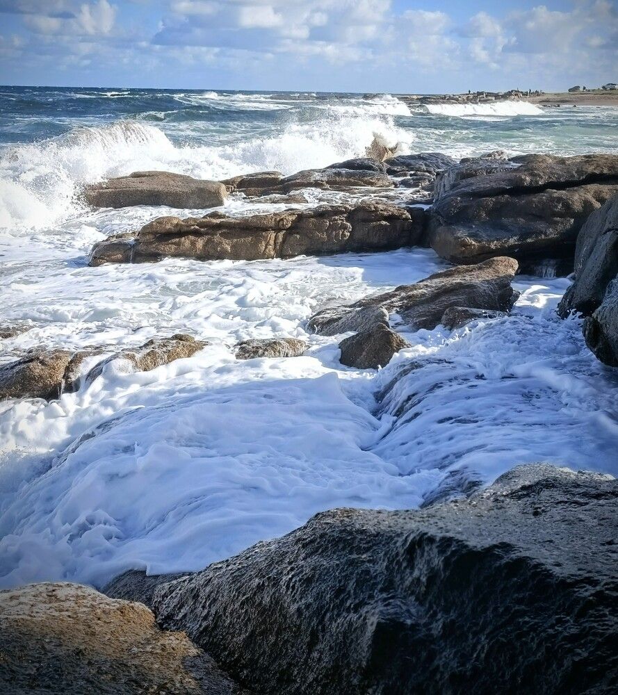 Mar y rocas